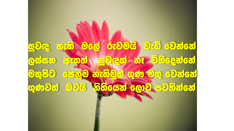FLOWER.png