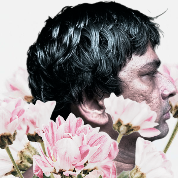 flowers-designify.png
