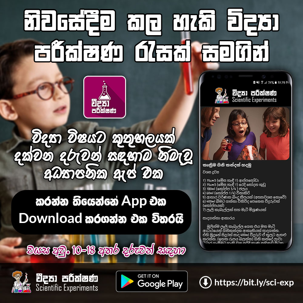 flyer2.jpg