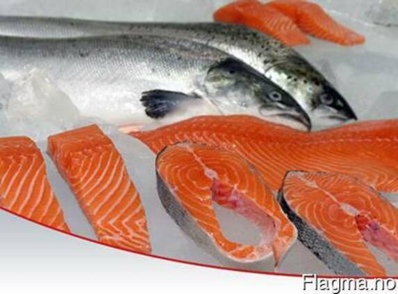 fresh-frozen-atlantic-norwegian-salmon-fish-1586229_big.jpg