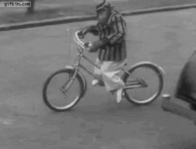 Funny Animals On Bike_ (1).gif