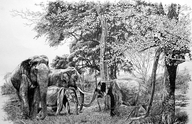 gamini 7.jpg