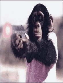 gangster-monkey.gif