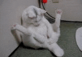ghjhg.gif