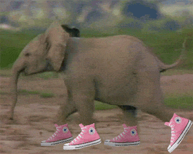 giphy (1).gif