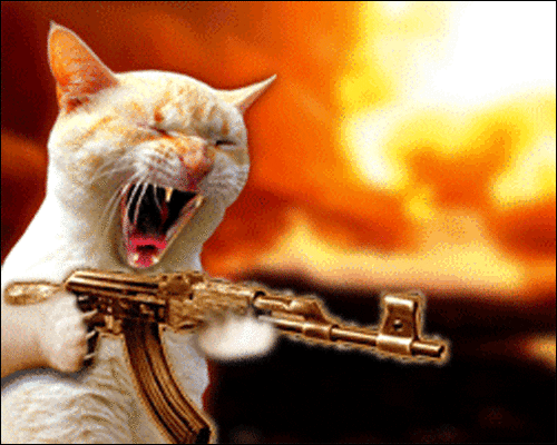 giphy (30).gif