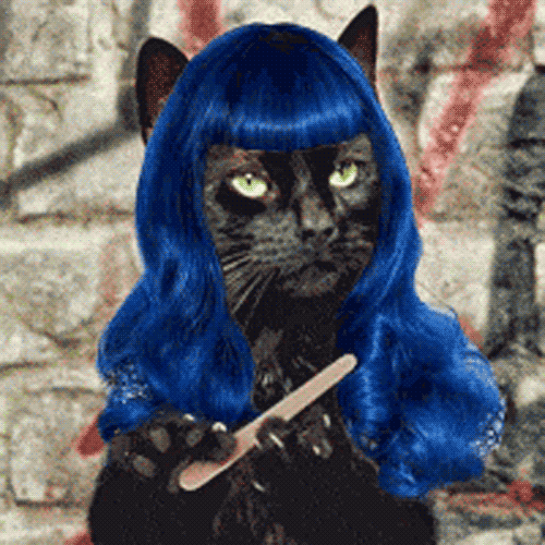 giphy.gif