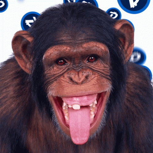 goofy-dancing-monkey-ar6ploj3u3zrtlru.gif