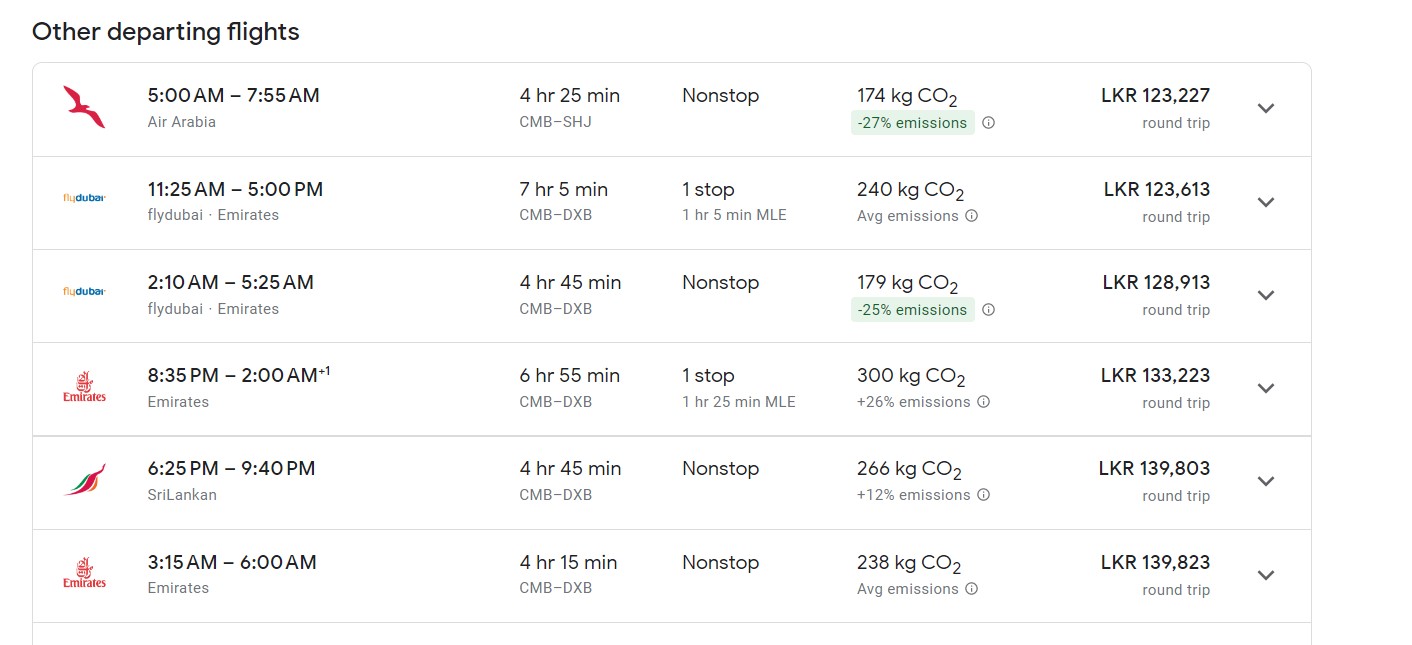 Googleflight.jpg