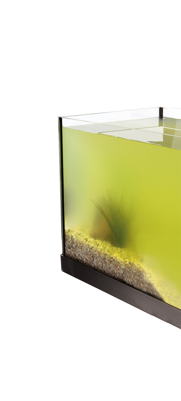 Green_Water_2.jpg