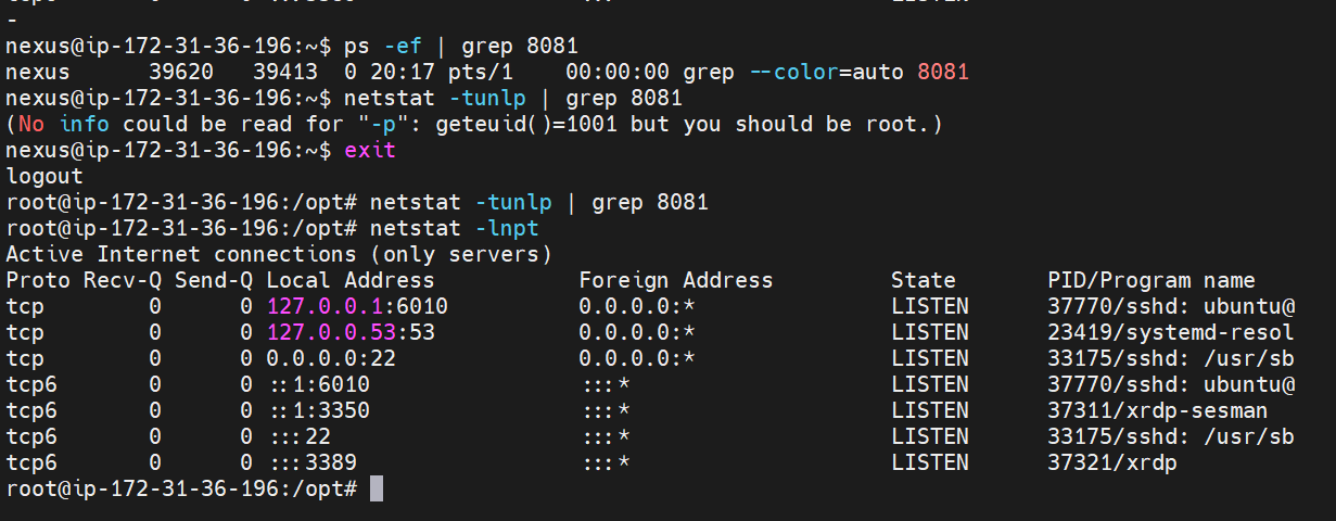 grep.PNG