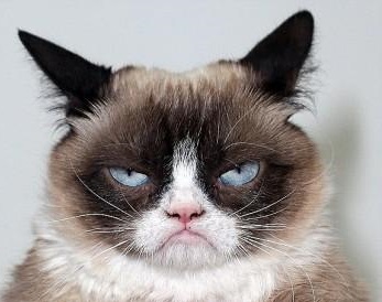 grumpy-cat-unveils-dc-waxwork-makes-broadway-debut.jpg