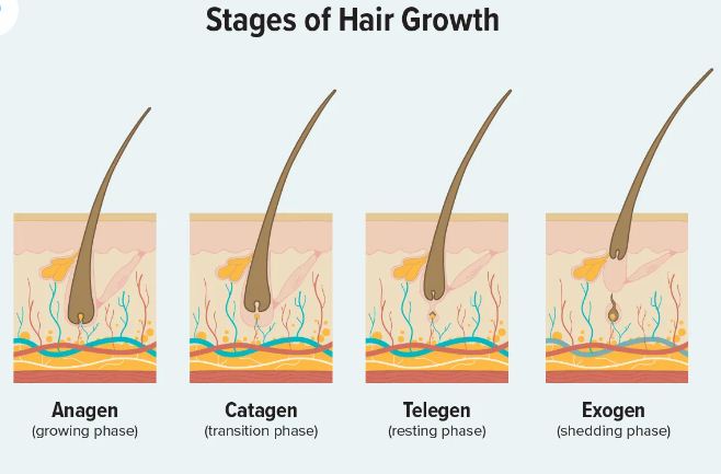 Hair.JPG