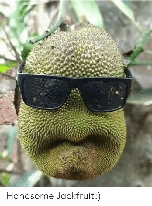 handsome-jackfruit-47642731.png