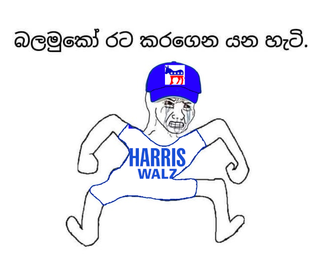 harr2.png