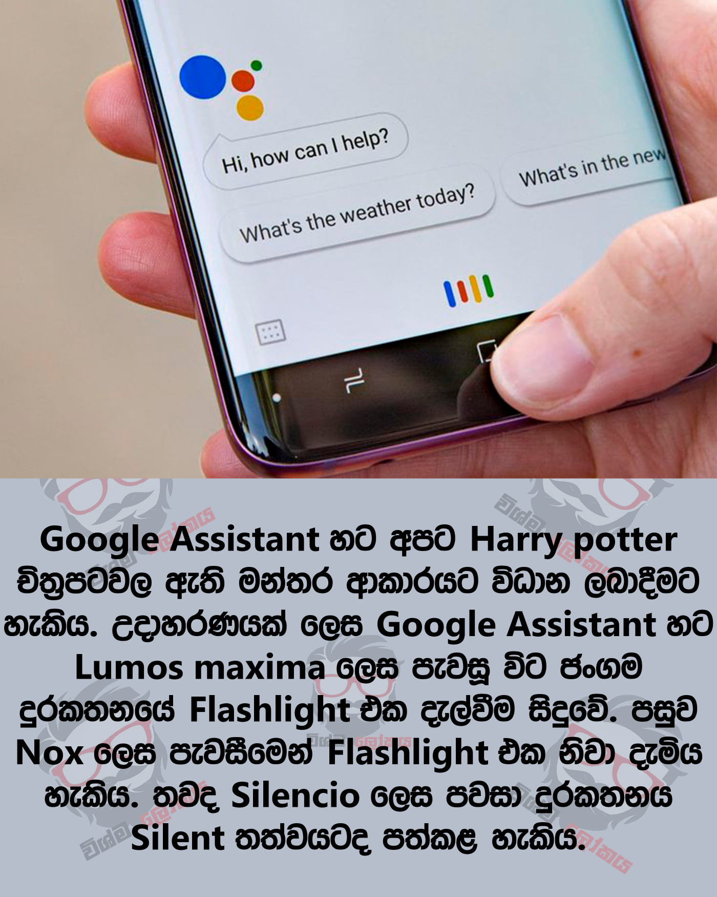 harry.jpg