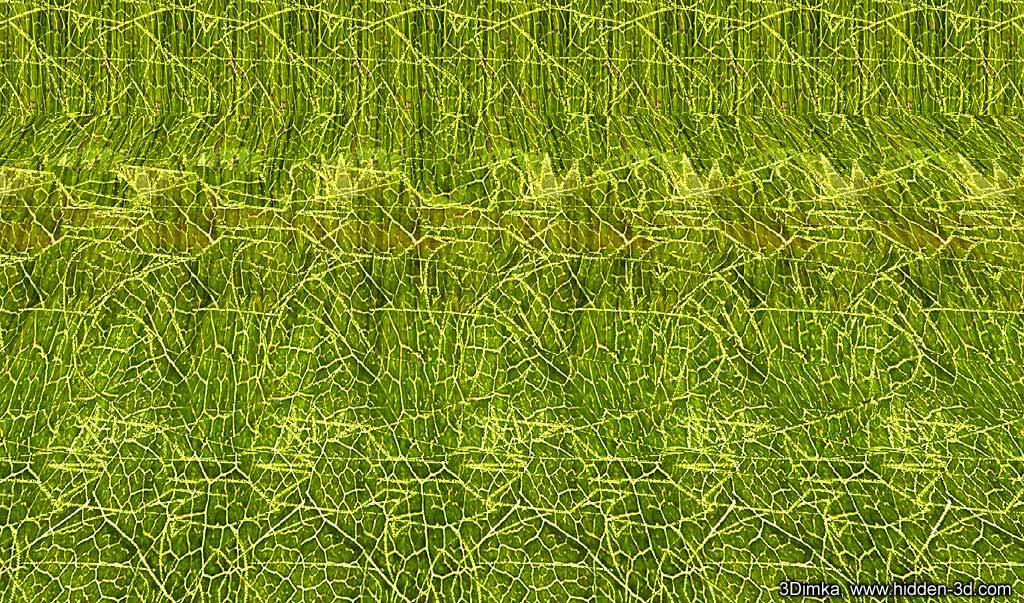 hidden-3d.com-gallery-x-3dimka_frog.jpg
