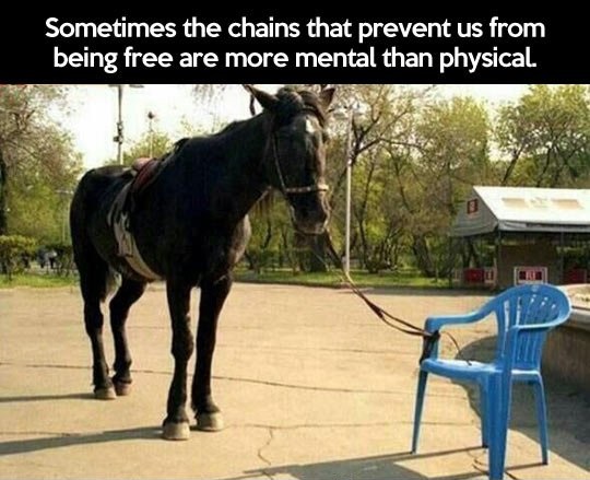 horse-tied-to-plastic-chair-mental-chains.jpg
