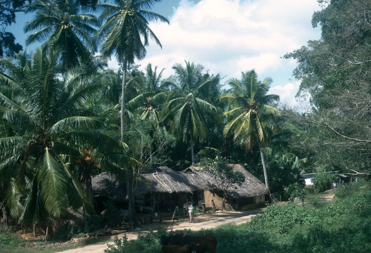 houses-near-kalawewa-1973_3358047911_o.jpg