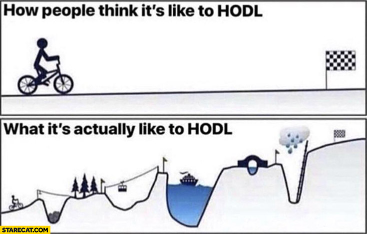 how-people-think-its-like-to-hodl-vs-whats-its-actually-like-to-hodl-stock-hold.jpg