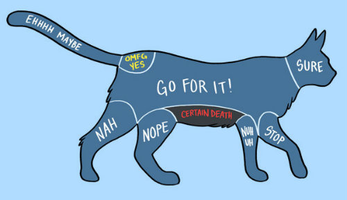 HowToPetACatSm2.jpg