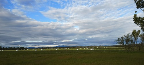 Iceland_1a.jpg