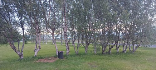 Iceland_2a.jpg