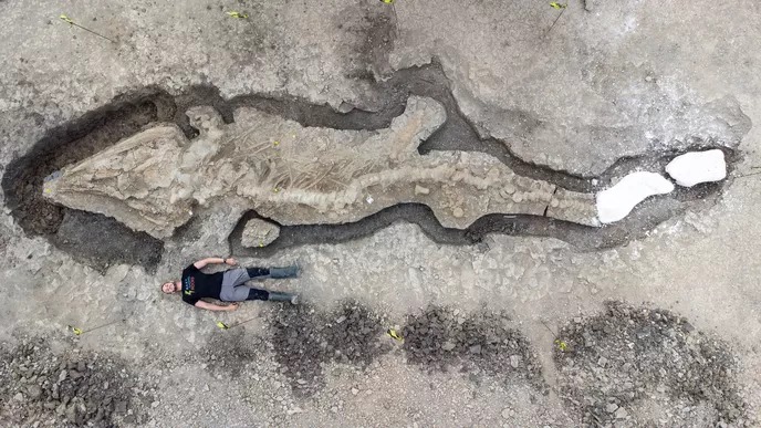 Ichtyosaur_UK.jpg