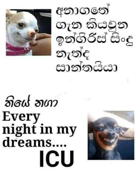 icu.jpeg