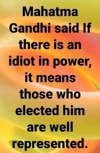 Idiot_in_Power.jpg