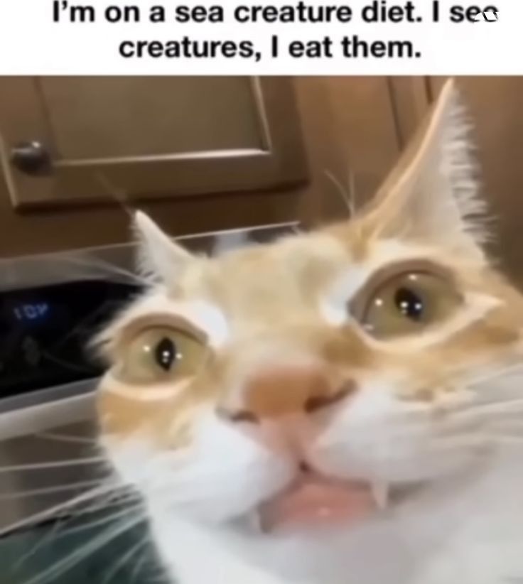 I'm on a sea creature diet_.jpg