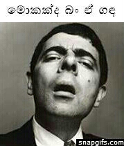 image-48b1885f7198c59d3625b8a8a06856ea1fe11a9fa9c0fc7e5caf0de76900da48-V.jpg