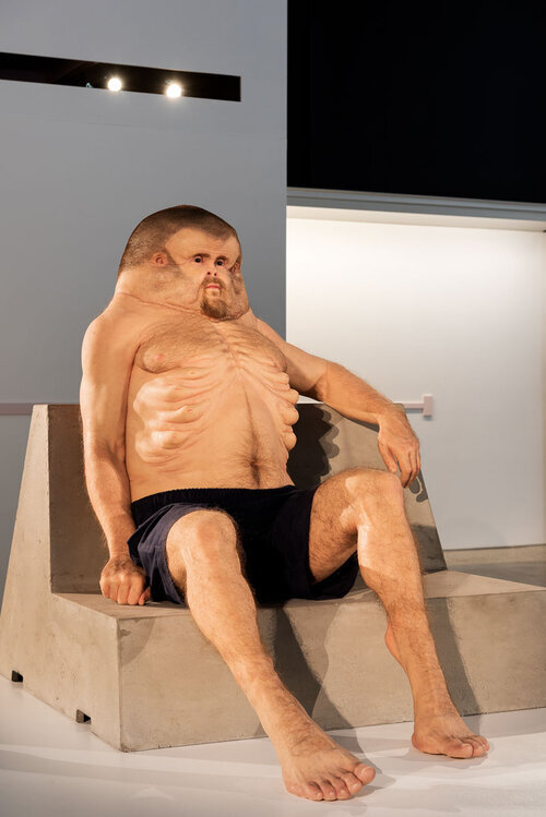 image-asset.jpeg