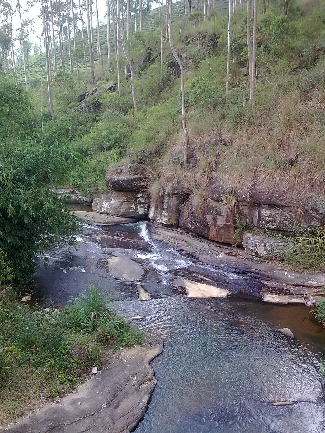Image1335.jpg