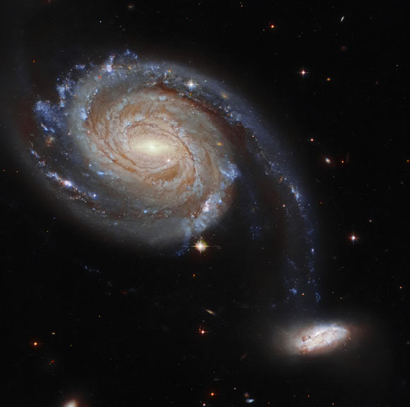 image_10173-Arp-86.jpg
