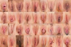 images (12).jpeg