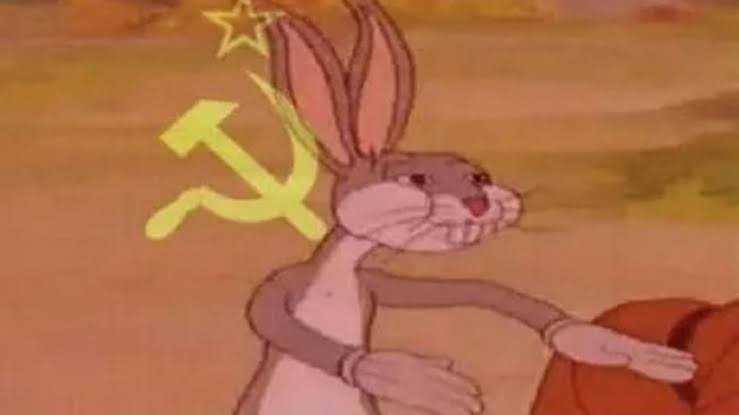 images (36).jpeg