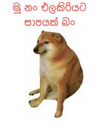 images.jpeg