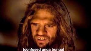 images.jpeg