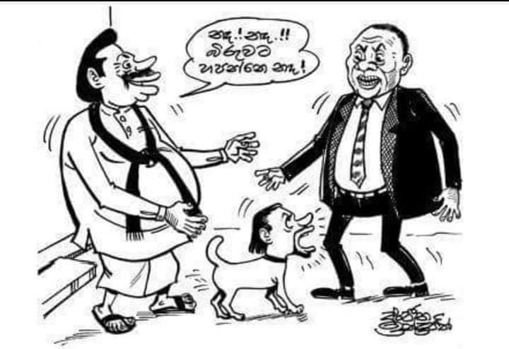 IMG-20201027-WA0003.jpg