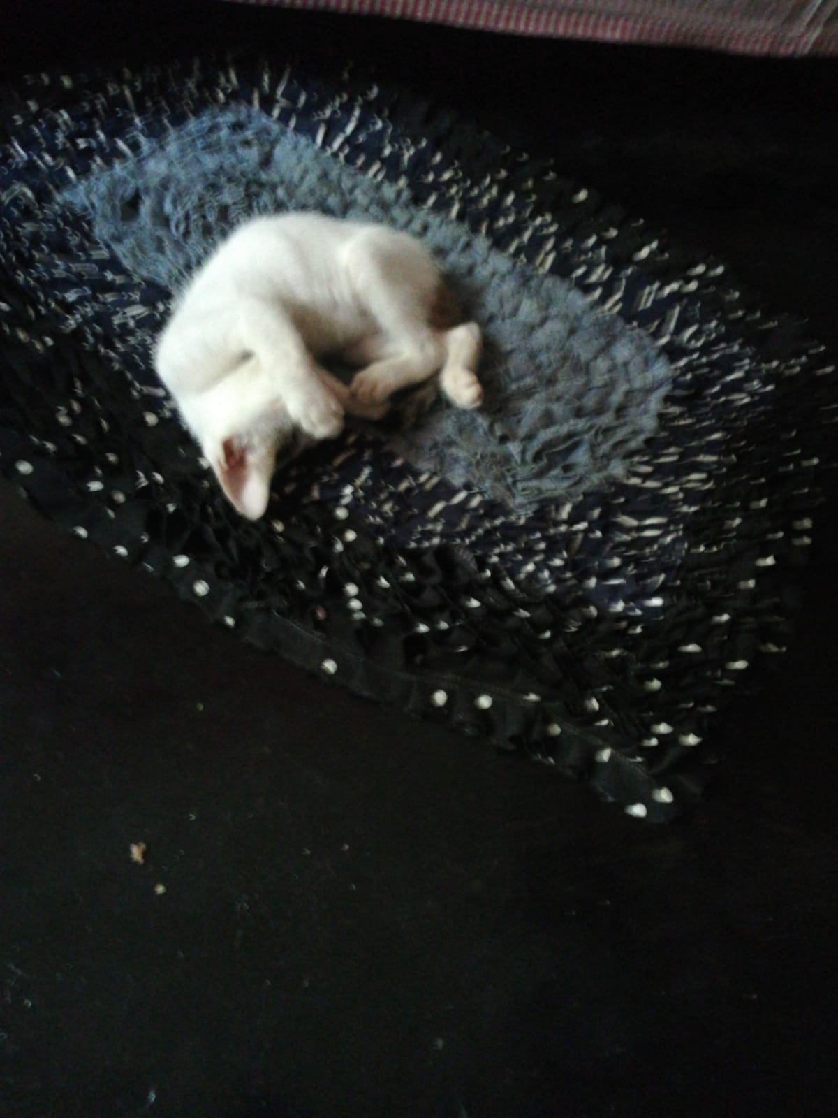 IMG-20220112-WA0012.jpg