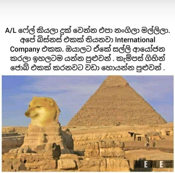 IMG.jpg