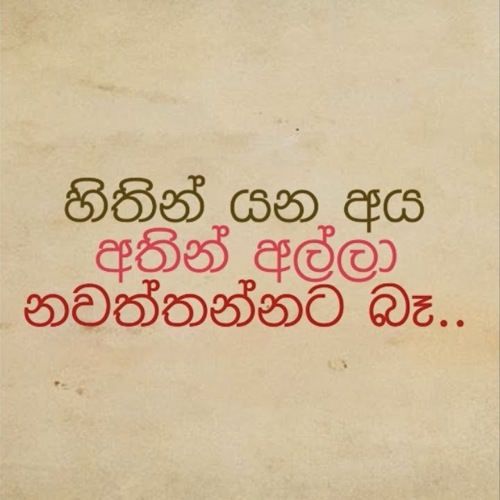 IMG_0234.jpeg