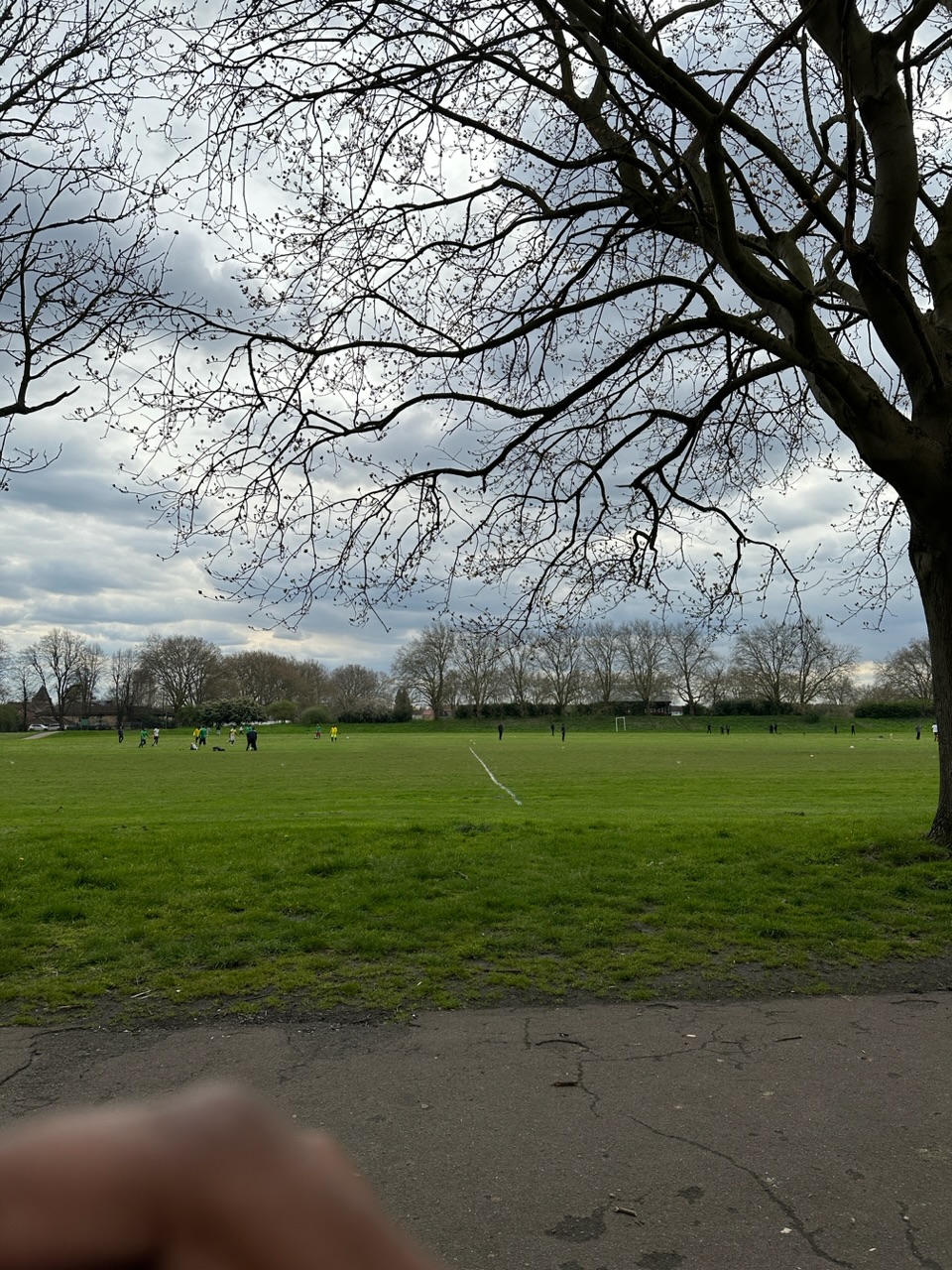 IMG_0483.jpeg