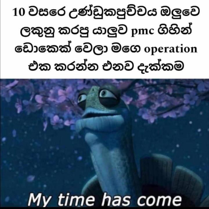 IMG_0643.jpeg