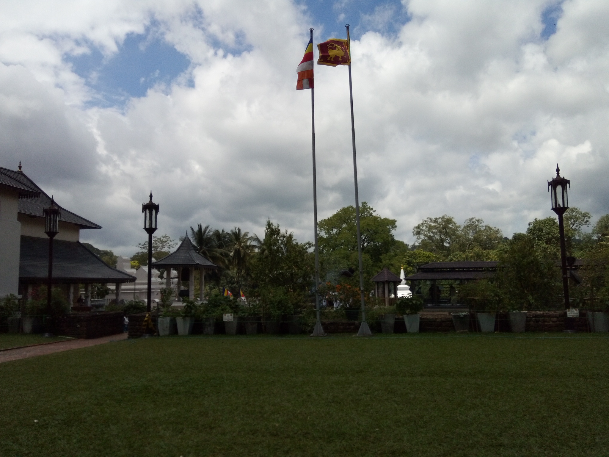 IMG_20200917_110940.jpg