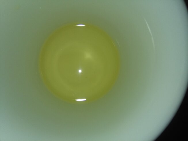 IMG_20201027_162125.jpg
