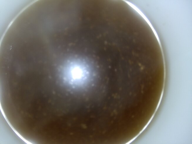 IMG_20201028_101322.jpg