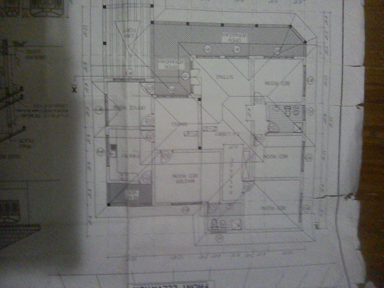 IMG_20201113_194456.jpg