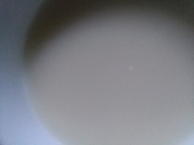 IMG_20201223_072441_copy.jpg